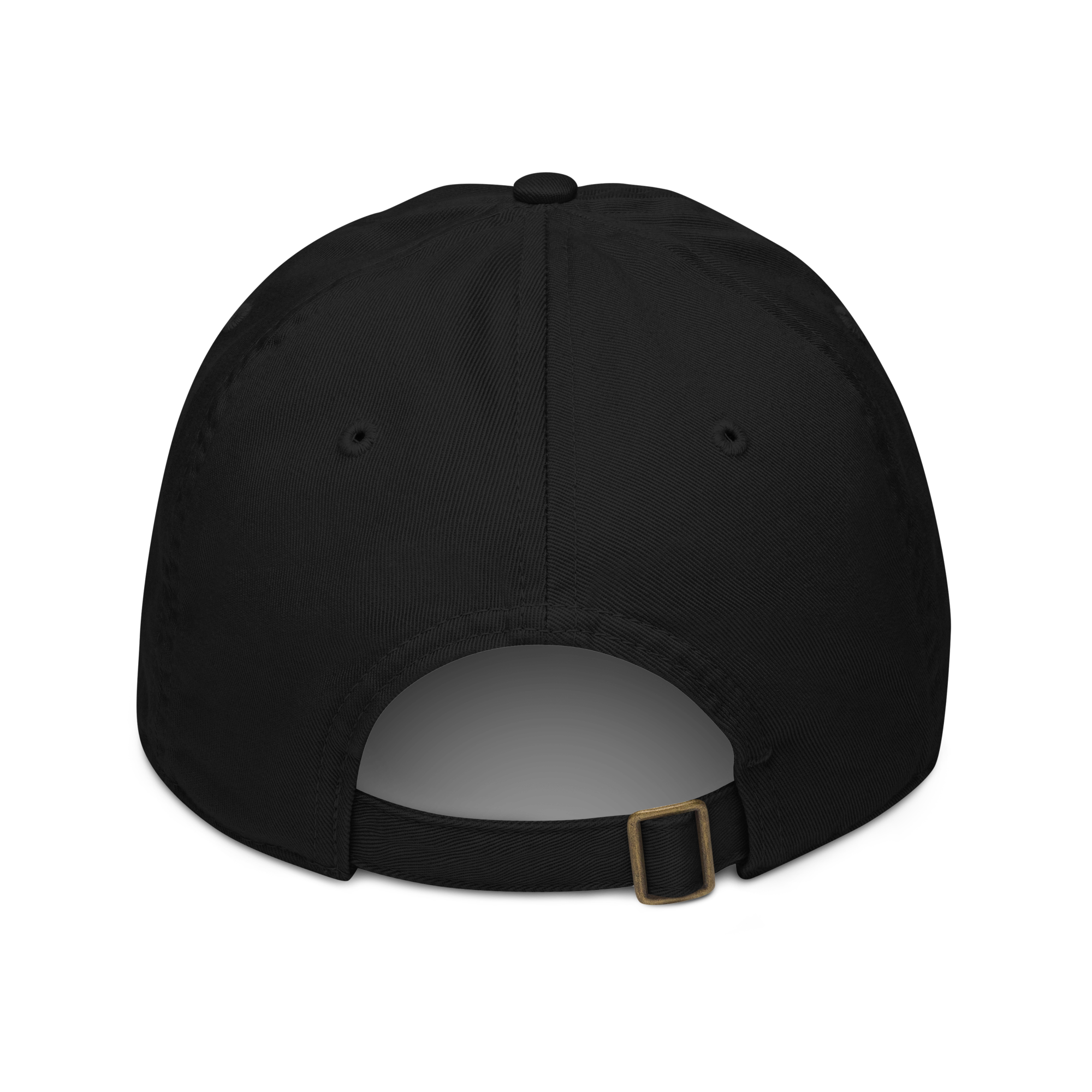 tmpry. Baseball Cap
