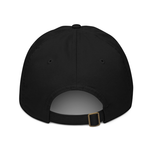tmpry. Baseball Cap
